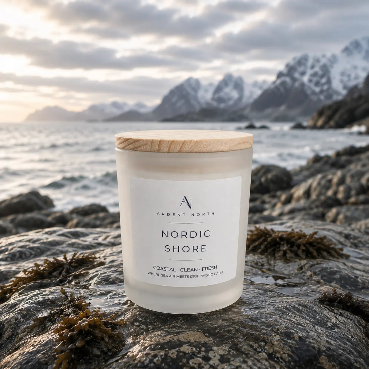 A frosted glass jar candle with a light wood lid sits on a rocky shoreline with the ocean and snow-capped mountains blurred in the background. The front label reads 'Ardent North Nordic Shore' and 'Coastal Clean Fresh'.